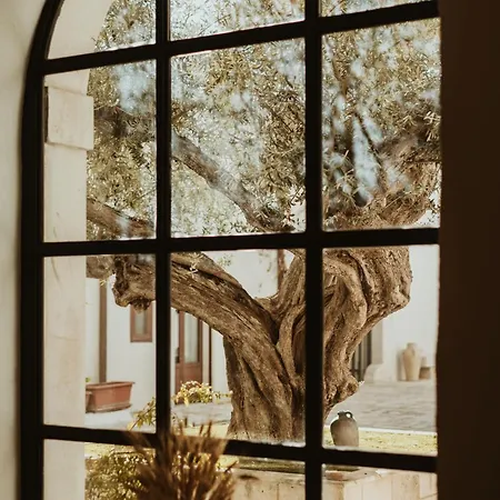 Gapo Bed & Breakfast 4*